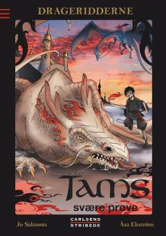 Bog, 1. udgave, 2011