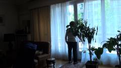 No home video