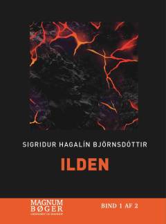 Ilden. Bind 2 (Stor skrift)