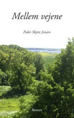 Mellem vejene