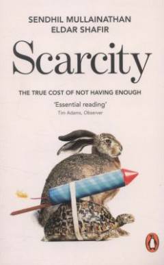 Scarcity : the true cost of not having enough