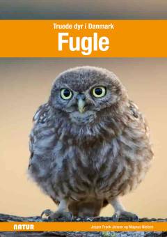 Fugle