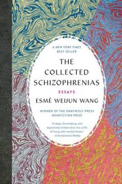 The collected schizophrenias : essays