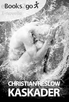 Kaskader : e-novelle