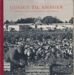 Bog, 1993