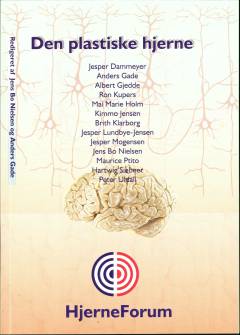 Den plastiske hjerne