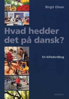 Hvad hedder det på dansk? : en billedordbog