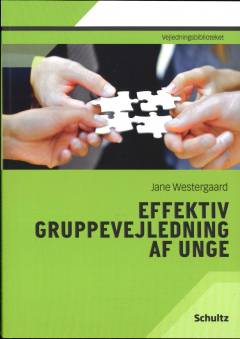 Effektiv gruppevejledning af unge