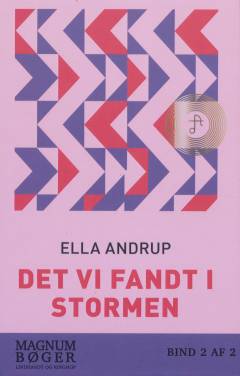 Det vi fandt i stormen. Bind 1 (Stor skrift)