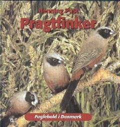 Pragtfinker