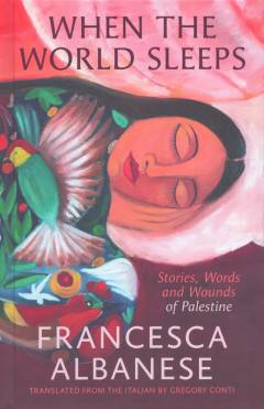 When the world sleeps : stories, words and wounds of Palestine