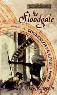 The floodgate