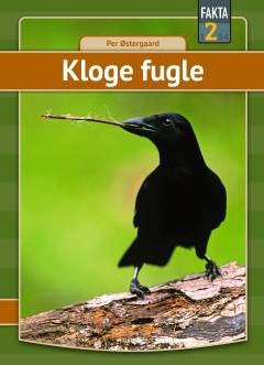 Bog, 1. udgave, 2022