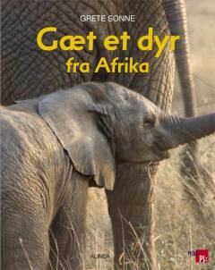 Gæt et dyr fra Afrika