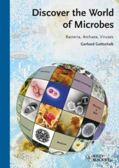 Discover the world of microbes : bacteria, archaea, and viruses