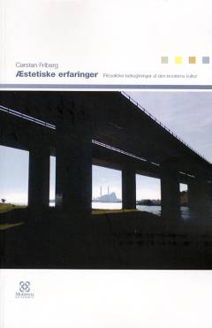 Æstetiske erfaringer : filosofiske betragtninger af den moderne kultur