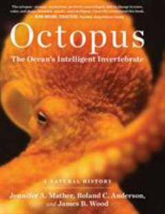 Octopus : the ocean's intelligent invertebrate
