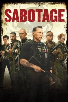 Film (dvd), 2014