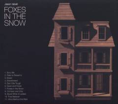 Foxes in the snow