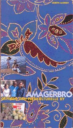 Amagerbro : gennem den flerkulturelle by
