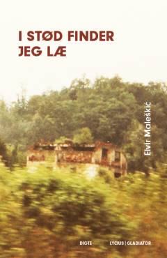 I stød finder jeg læ : digte