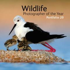 Wildlife photographer of the year : portfolio 20