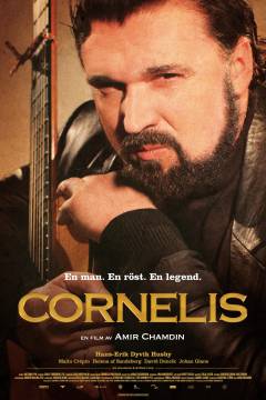 Film (dvd), 2011