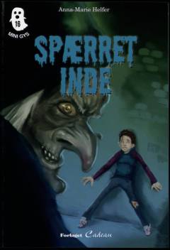 Bog, 1. udgave, 2012