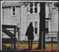 Dark bird is home