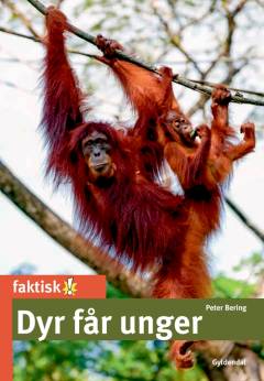Dyr får unger