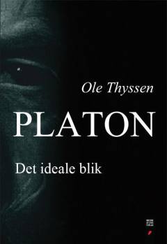 Platon : det ideale blik
