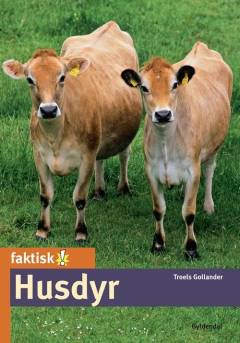 Husdyr