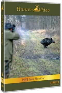 Film (dvd), 2007