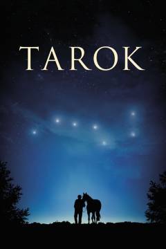 Film (dvd), 2014
