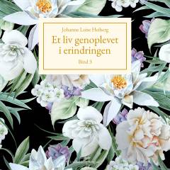 Et liv genoplevet i erindringen. Bind 3