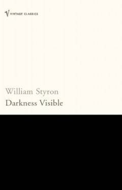 Darkness visible : a memoir of madness