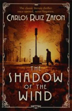The shadow of the wind