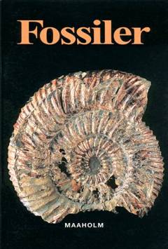 Bog, 1. udgave, 2001