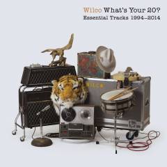 What's your 20? : essential tracks 1994-2014
