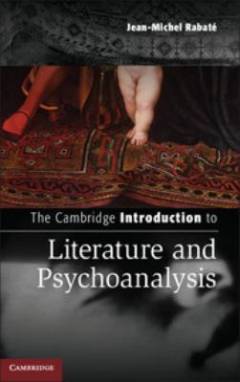 The Cambridge introduction to literature and psychoanalysis