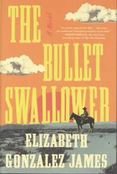 The bullet swallower : a novel