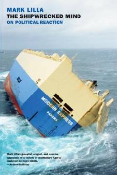 The shipwrecked mind : on political reaction