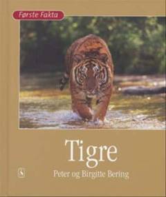 Tigre