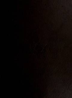 The new encyclopædia Britannica -- The index. L-Z