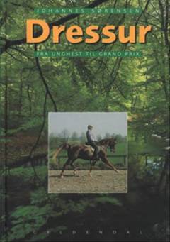 Dressur : fra unghest til grand prix