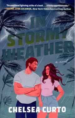In stormy weather : a novel