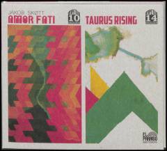 Amor fati: Taurus rising