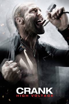 Crank - high voltage