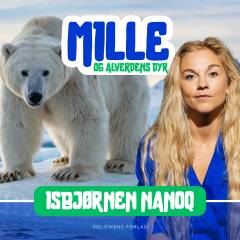 Isbjørnen Nanoq