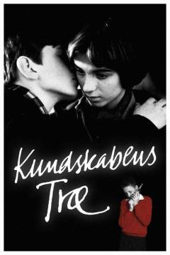 Film (dvd), 2007